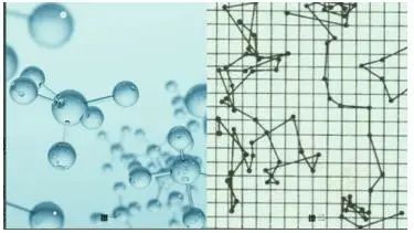 帝王池科谱:分子解析白酒新老区别